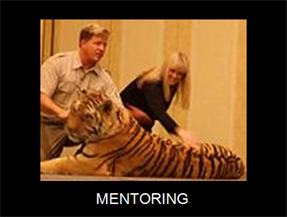 mentoring